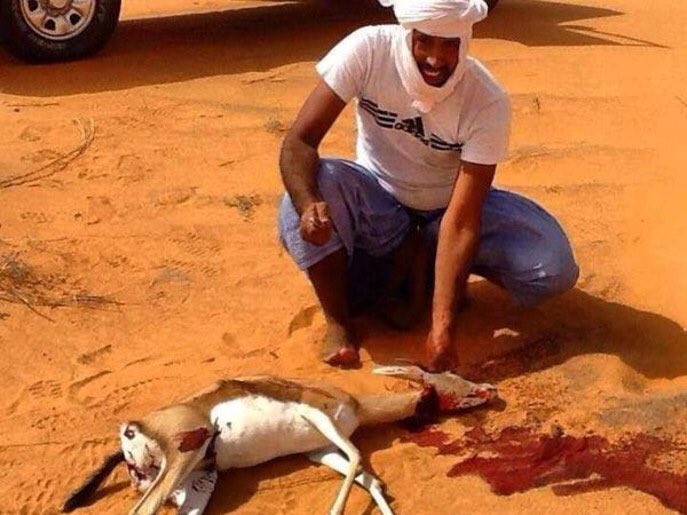 طبعي هواوي واعشق القنص والصيد === واطرب ليا فاح النفل من عباتي