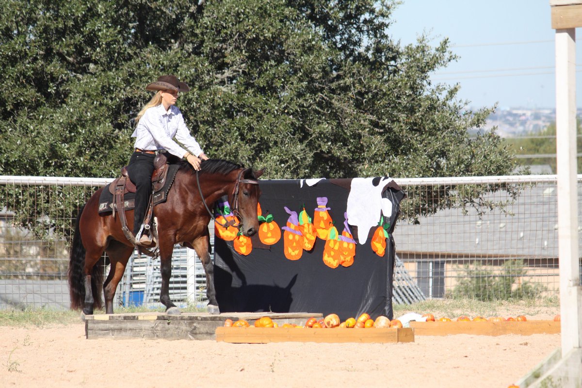 bluebonnetehs's tweet photo. Thanks to a grant from ASPCA, 23 @bluebonnetehs horses got the training needed to be great equine friends and partners!  #aspcagrants https://t.co/AApo6jngvs