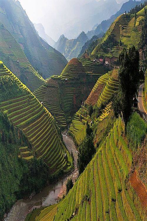 theESCALA's tweet image. Mountain terracing for agriculture=amazing. The Inca mastered it. still used in the Andes and Bhutan (below) #SPI #BuildFutures #SavePasts