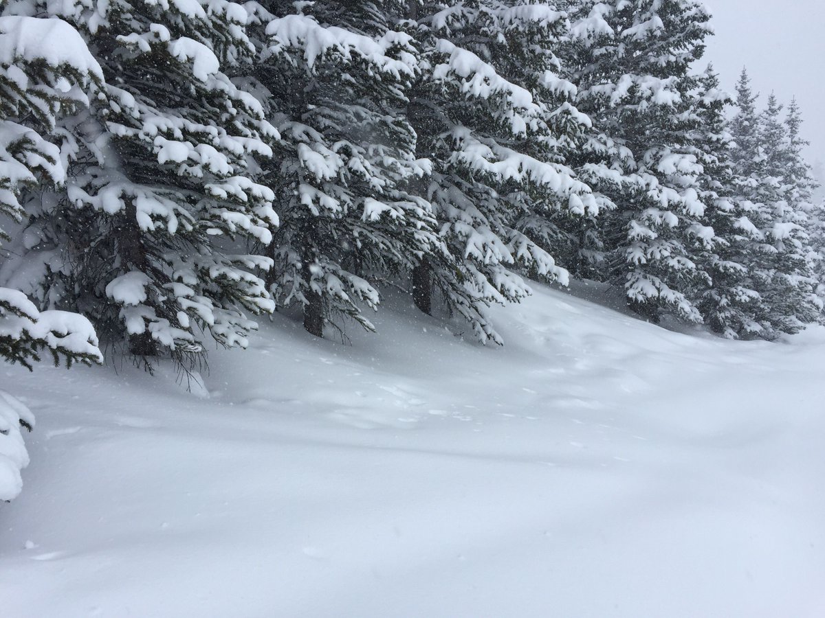 kernmedia's tweet image. Company outing day. #companyofone #powpow #skipowder