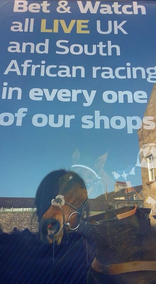 Do you know that tomorrow William Hill shops will be the only ones to show Horse racing "LIVE" from Lingfield, Wolves and Southwell 🏇🏇🏇