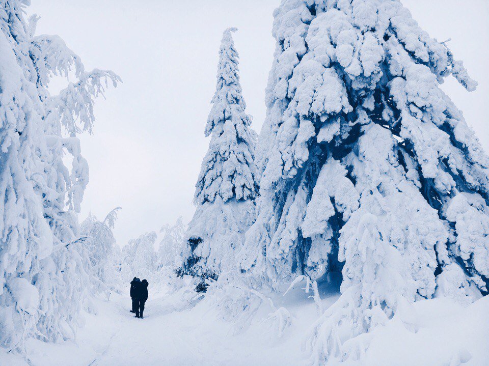 МОЙ ГОРОД - ПЕРМЬ! tweet media