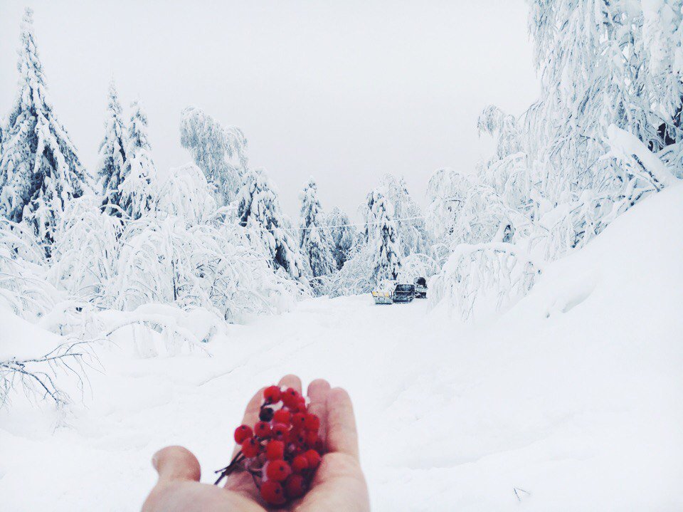 МОЙ ГОРОД - ПЕРМЬ! tweet media