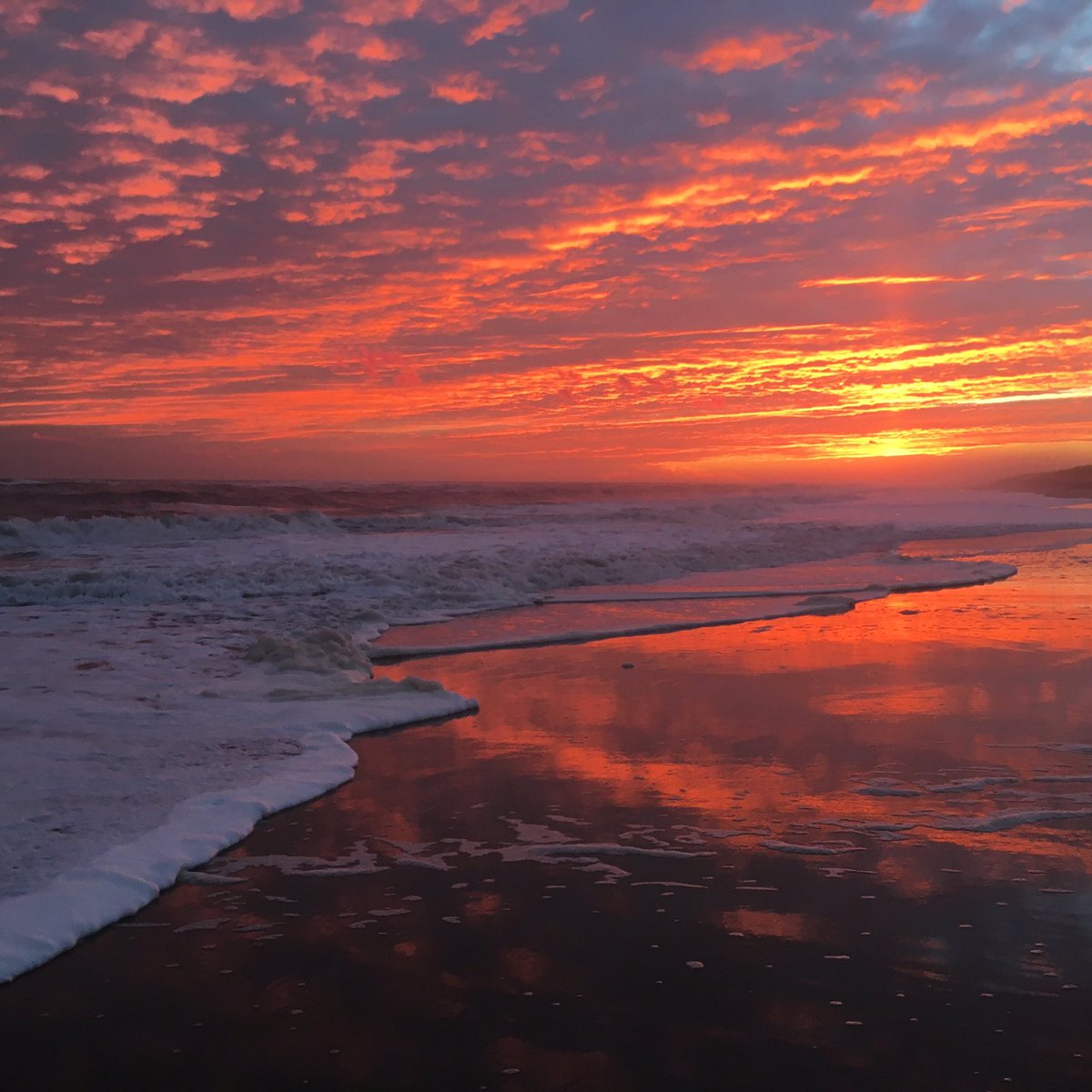 Hamptons's tweet photo. Well tonight's #sunset was something else #hamptons #flyingpoint #beach #watermill #eastend #flyingpointbeach #longisland #winter https://t.co/r71PLGPg38