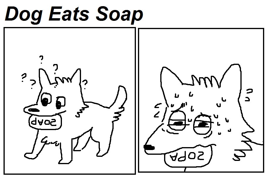 Dog Eats Soap 