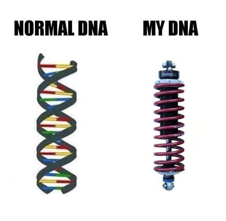 Fireball Camaro tweet media