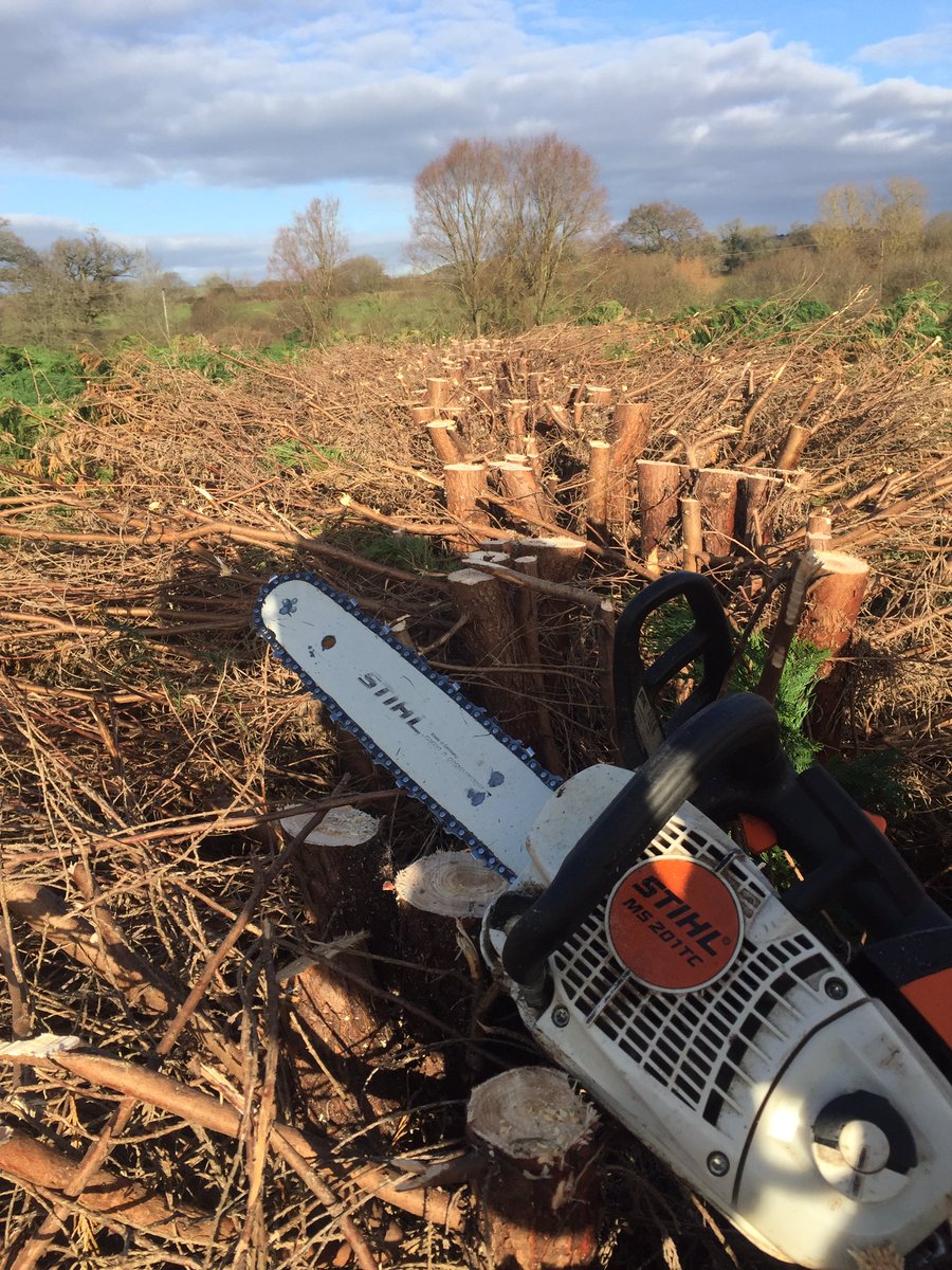 treecareMGS's tweet image. Hedge reduction in the vale of pewsey...