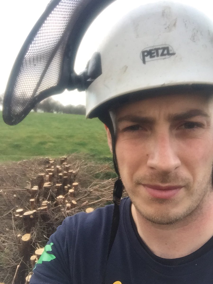 treecareMGS's tweet image. Hedge reduction in the vale of pewsey...