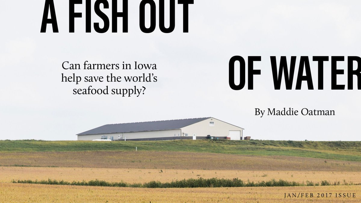 The bizarre and inspiring story of Iowa's fish farmers bit.ly/2iEiPb7