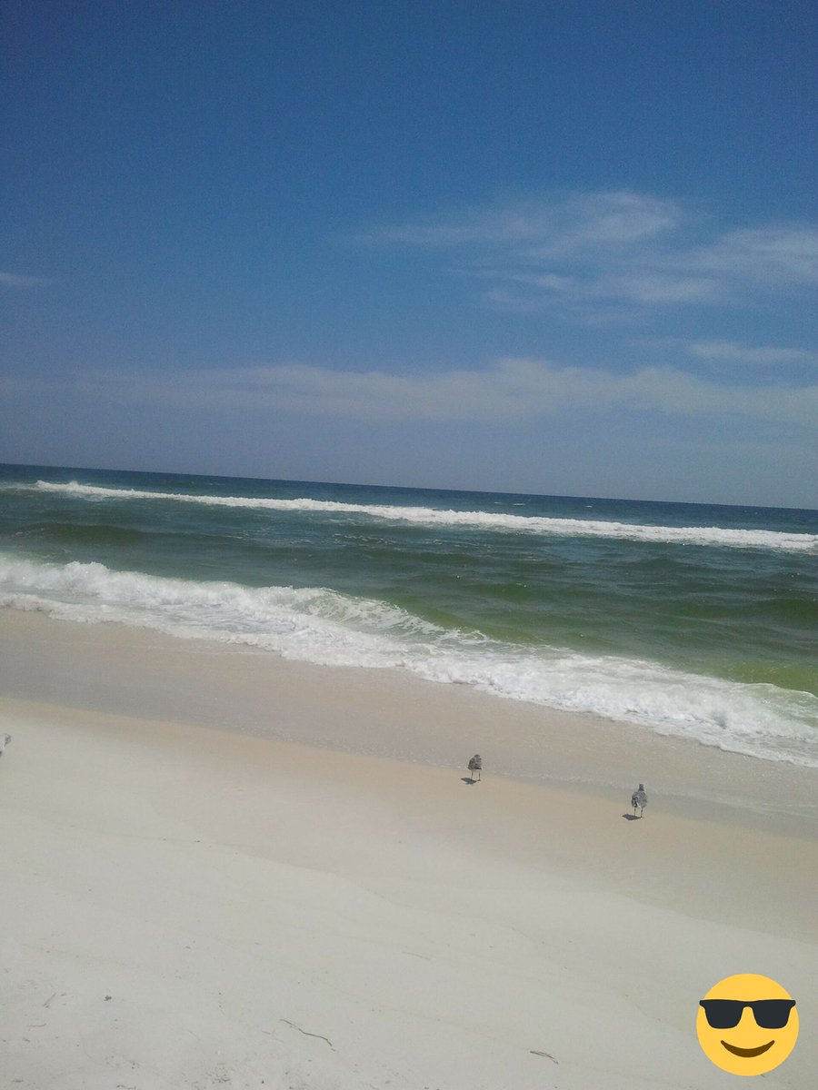 1966ROLLTIDE's tweet image. #GulfShores #PinkPonyPub