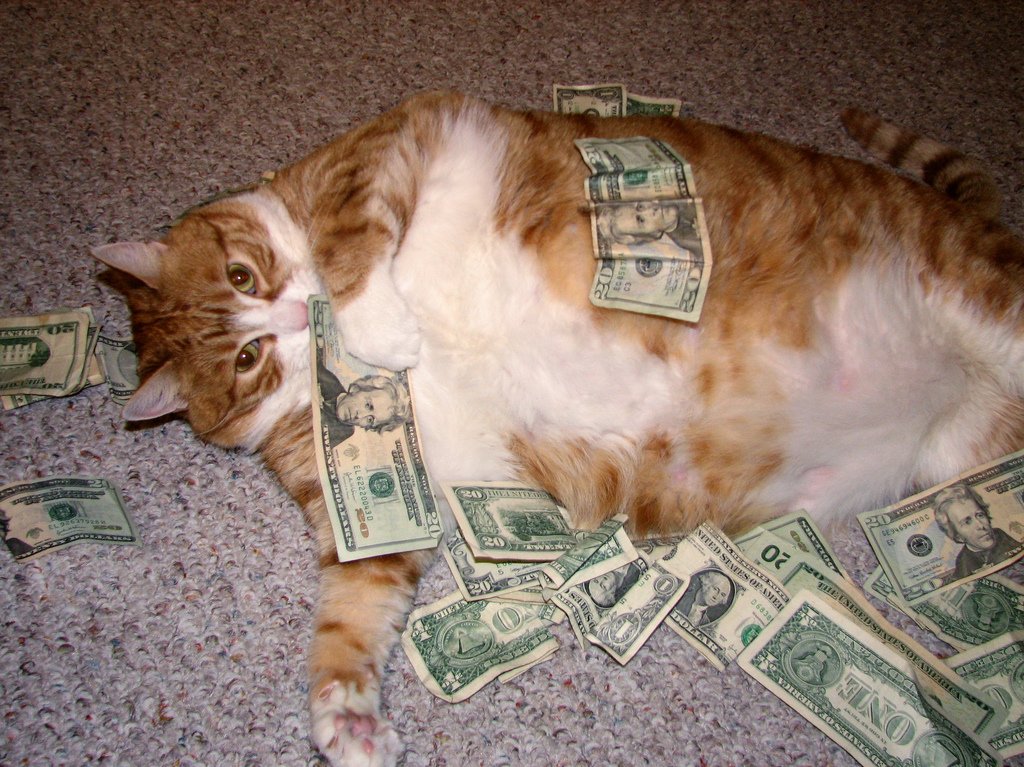 Drole De Chats Je Suis Riche Mouahaha Lolcat Gag Chat Drole De Chats Je Suis Riche Mouahaha Lolcat Gag Chat