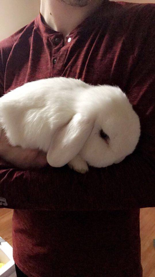 Jacob_Jones1295's tweet photo. here's another picture of my rabbit because you guys dont like my pictures of him enough....... https://t.co/Jyw7If2LBZ