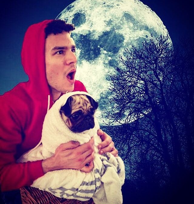 My princess <a href="/Wilma_the_pug/">Wilma Jones</a>  has been so good while staying in London. She watched ET and was obsessed. #pugchat 
#ET #etphonehome #puglife