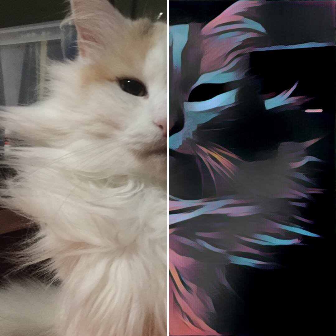 zoupmachine's tweet photo. #catarat #Elyse #prisma https://t.co/Cf0t7Kc5uz