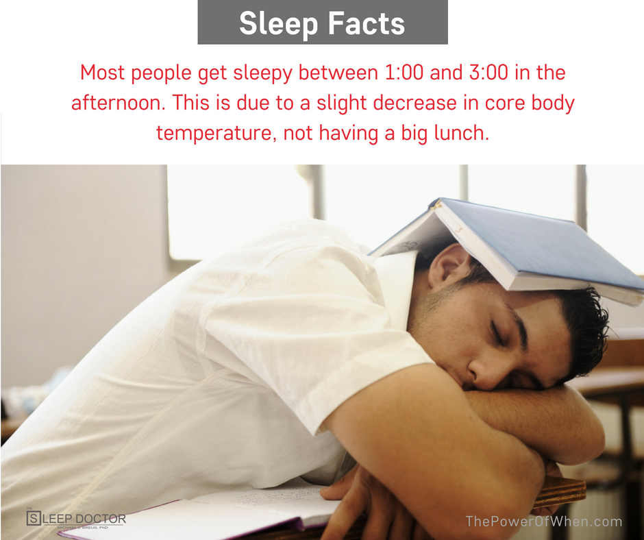 thesleepdoctor's tweet photo. Do you get tired in the afternoon and wonder why? If so you are not alone, most people do! https://t.co/HLKKv2riGU