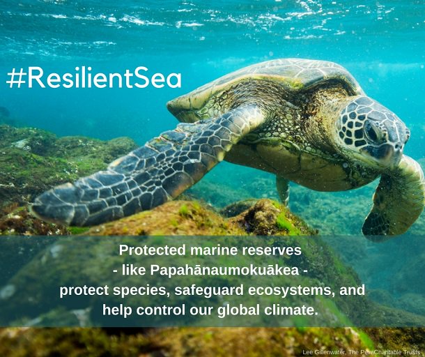 savingoceans's tweet photo. #YesWeCan moment: when @POTUS expanded Papahānaumokuākea creating the world’s largest #MPA at the time! #ResilientSea #MahaloObama https://t.co/Va1NIsqNZL