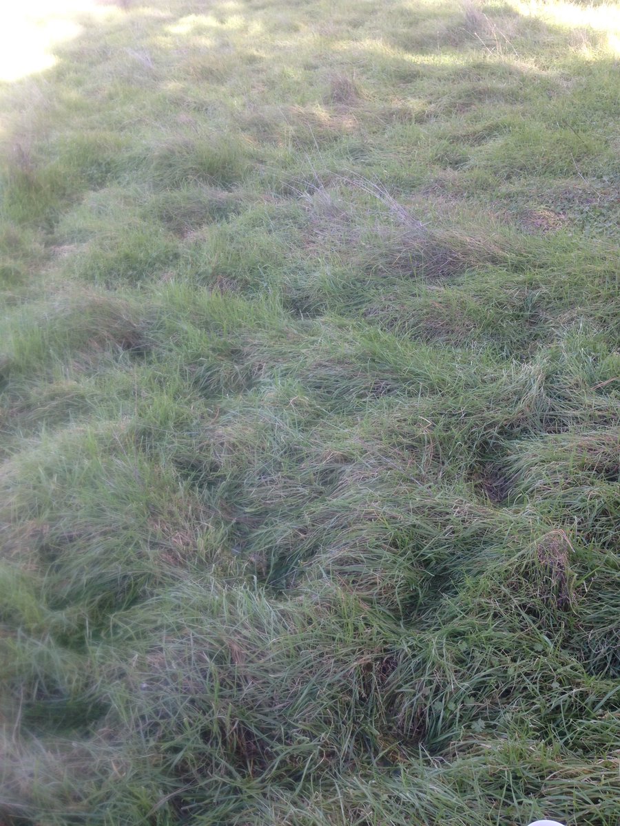 <a href="/ginestarros/">SuperGina♥️💚♥️</a> @cathhewat123 @Mary_M_Johnson <a href="/EehHorn/">Esther</a> <a href="/Johndillinger99/">⭐️Johnny⭐️</a> <a href="/amdreangus7/">Andre Angus</a> <a href="/leemerleather1/">leemerleathershoes</a> <a href="/RealAlcedo/">Next Big Thing</a> <a href="/breivik_ch/">C.H</a>