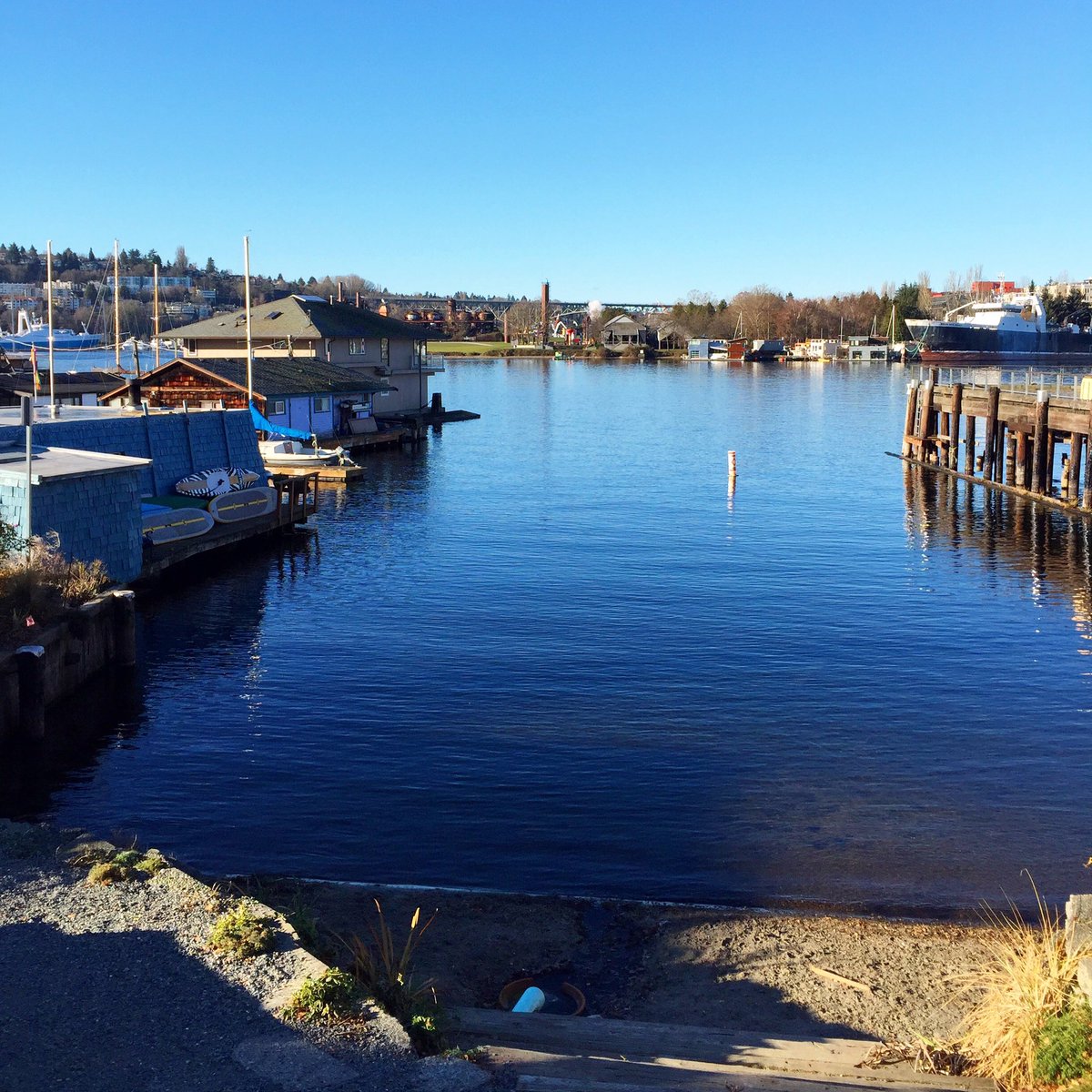 CourtStrand's tweet photo. It's never sunny in #Seattle on my birthday until this year! #ViewFromMyRun #CourtRuns #MyRunningPostcards #MySeattleCottage https://t.co/QoZwHXcOff