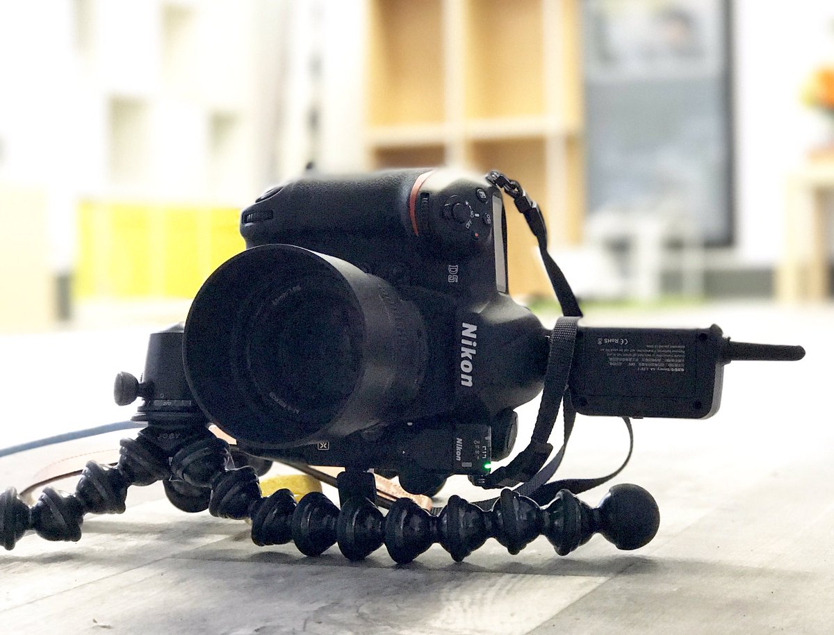 Getting low with my #NikonD5 and #GorillaPod <a href="/NPS_Canada/">NPS Canada</a> <a href="/NikonCanada/">Nikon Canada</a> <a href="/jobyinc/">JOBY, Inc.</a> #TorontoPhotographer