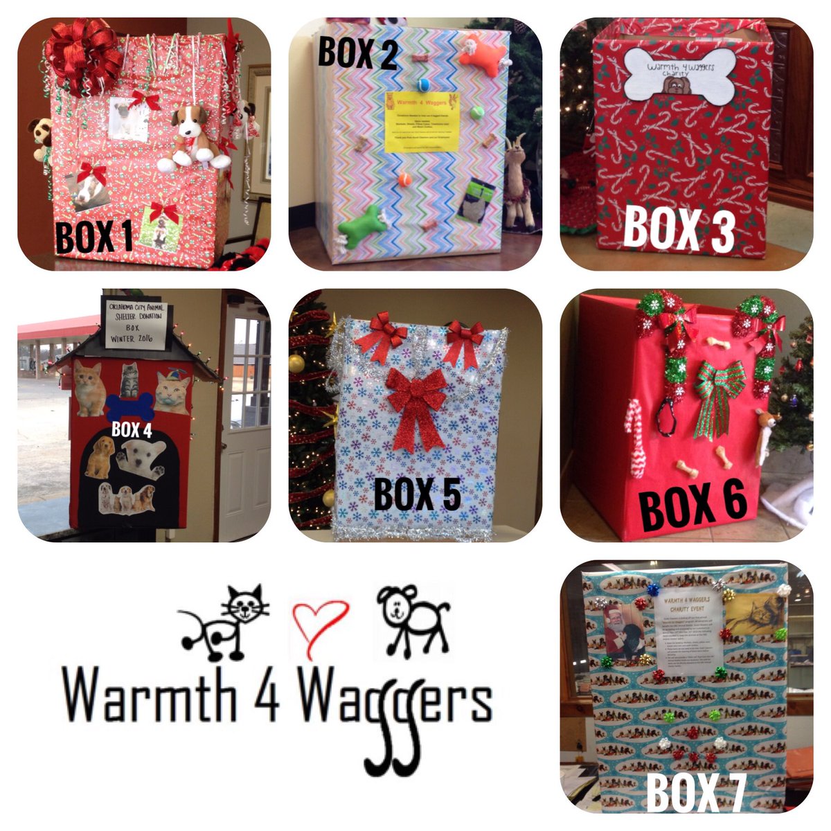 ScottCleaners's tweet photo. @okcpets help us pick a winner from our donation boxes! #AdoptDontShop #animalsarelikepeople #keepthemwarm https://t.co/W3Ho0ZlVKV