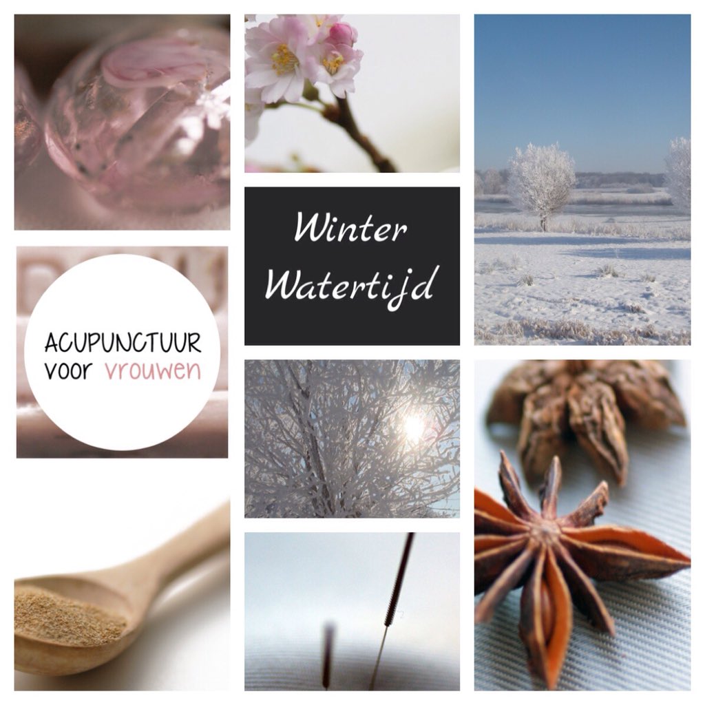 De winter is binnen de acupunctuur een tijd om te verstillen en tot rust te komen. #zwolle #tcm