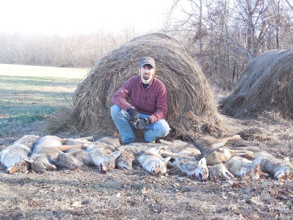 Taking out the coyotes...