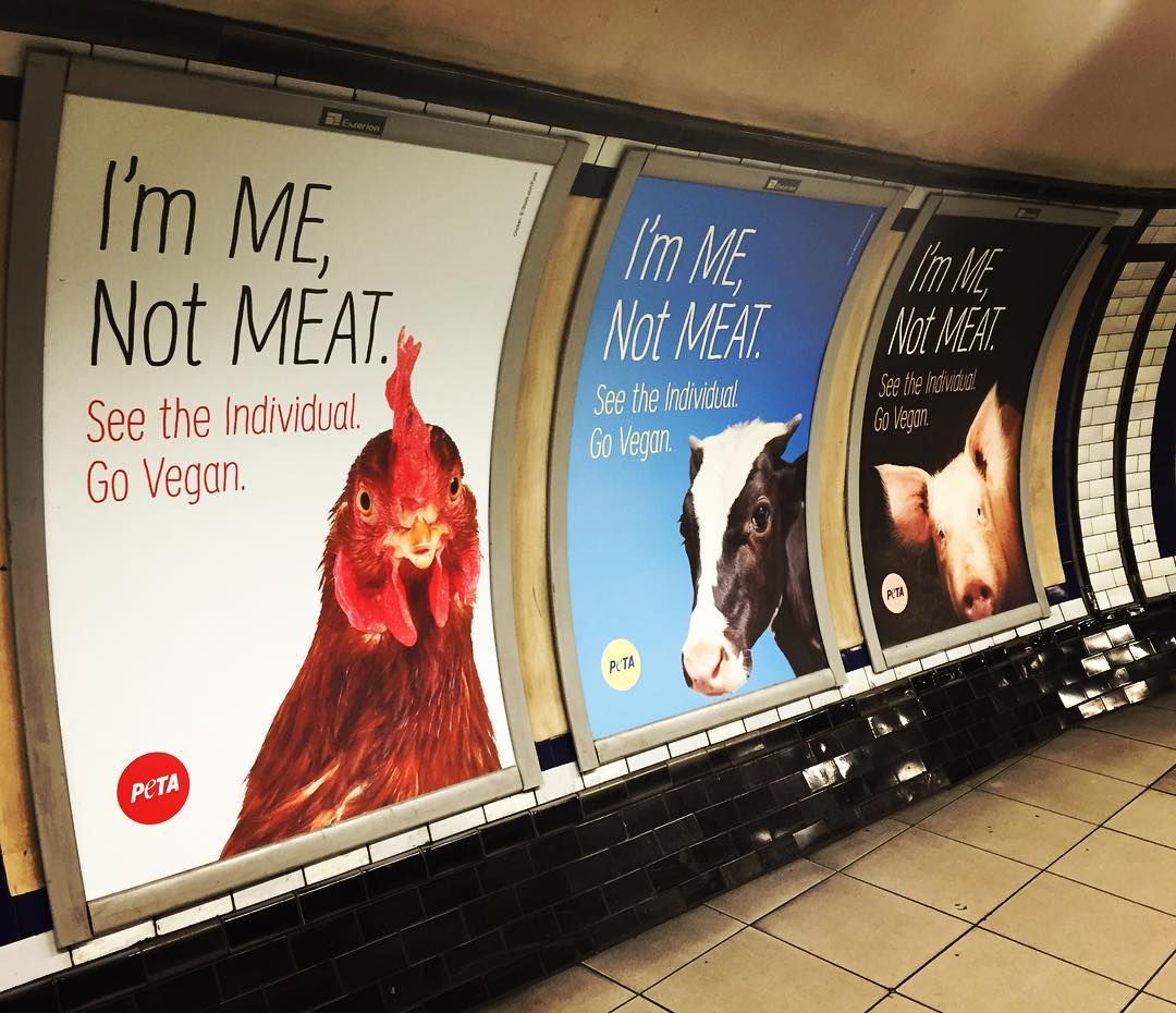 The #UK’s First-Ever #Vegan Total Tube (Subway) Station Takeover | read more <a href="/plantbasednews/">Plant Based News</a> >> buff.ly/2iEu2IB