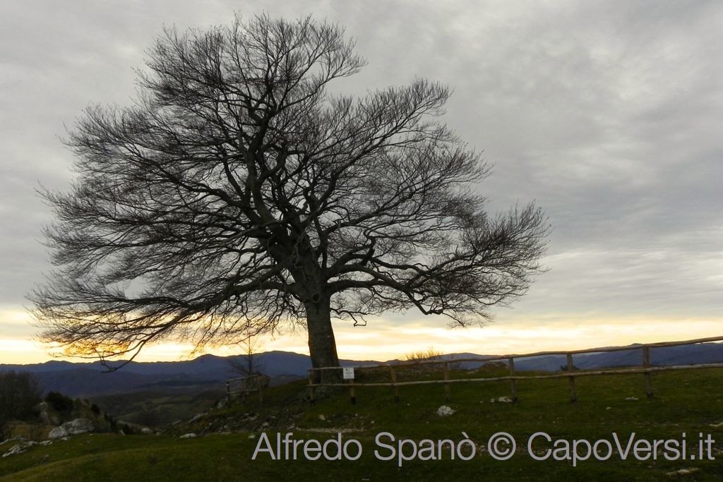 CapoVersi's tweet photo. #inverno sul #SassoSimone #Montefeltro https://t.co/RgT0v7aoox #viandante in #cammino #trekking #cultura #natura #benessere https://t.co/3PLh1pzKhx