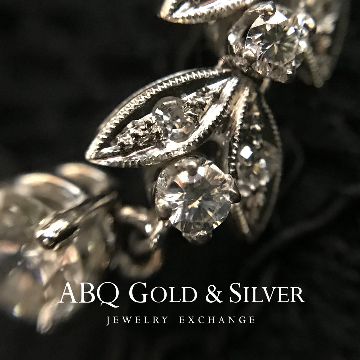 abqgold hashtag on Twitter