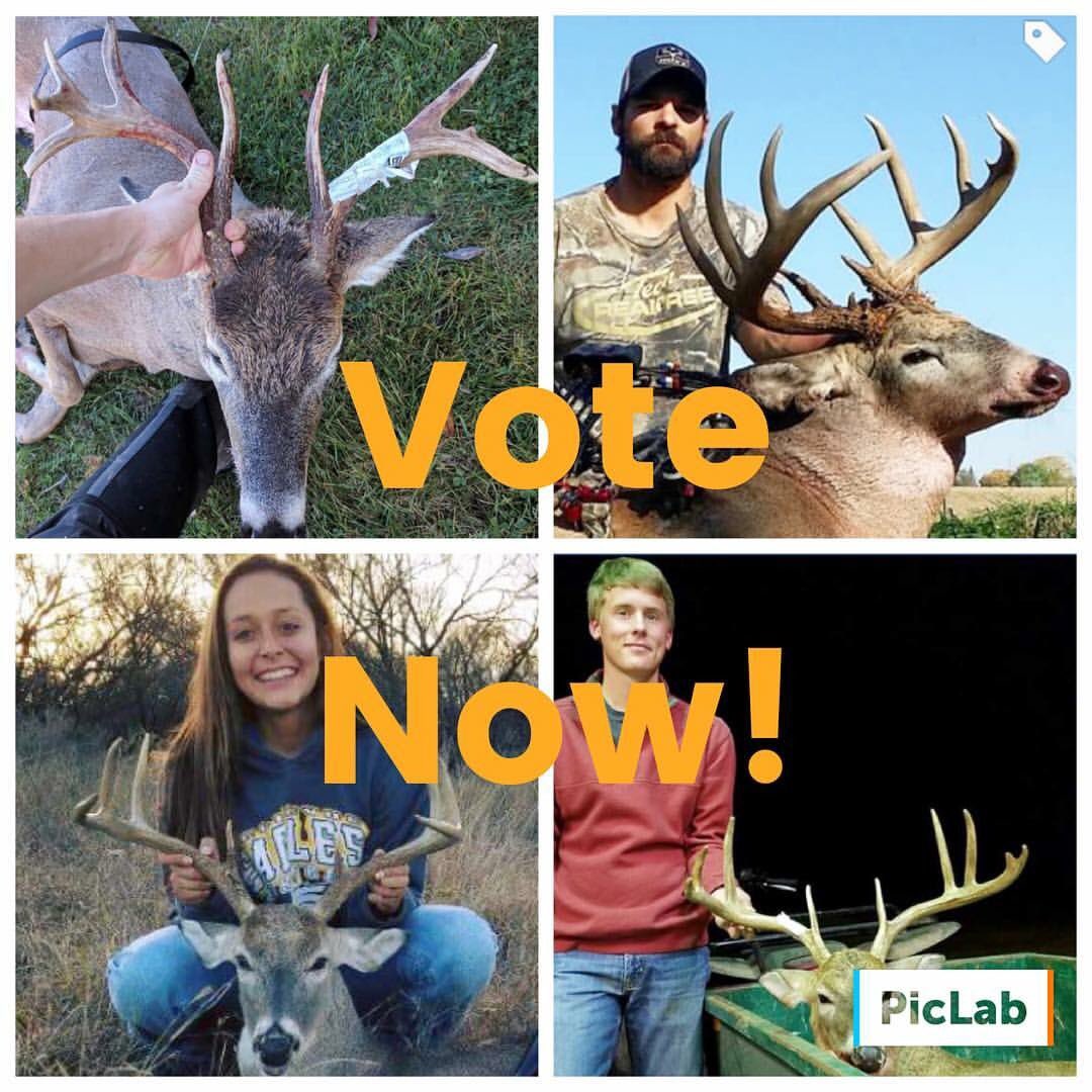 Vote for you favorite! Here are few of from the Virtual Buck Pole! facebook.com/groups/9883789… #buckpole #whitetail #deerhunting #michigan #hunt
