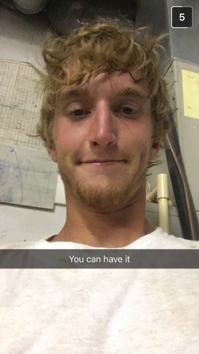 Tyler Paulson tweet media