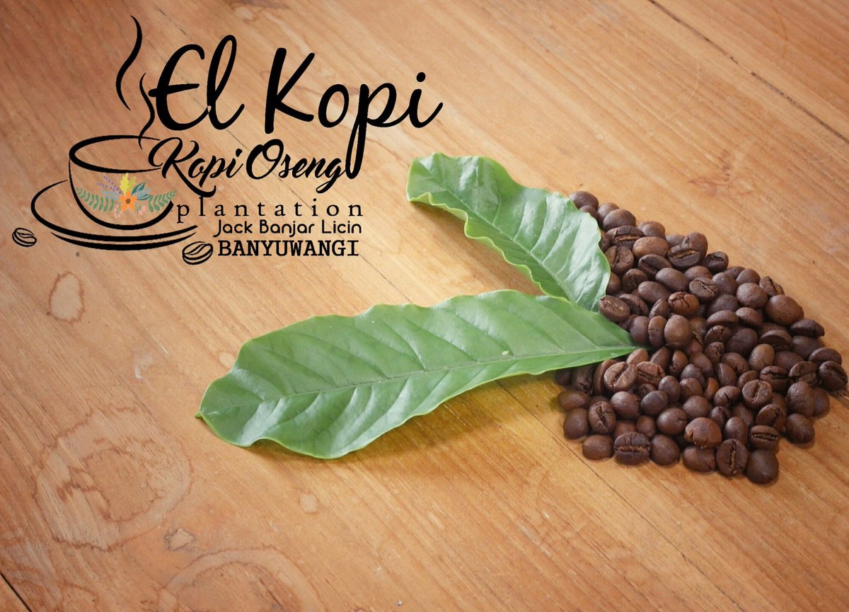 Sebuah mahakarya Local Coffee Banyuwangi Robusta #banyuwangi #jack #banjar #licin