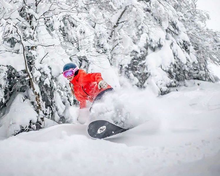 Snow Escape tweet media