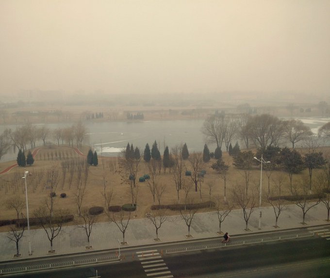 View image on Twitter View image on Twitter