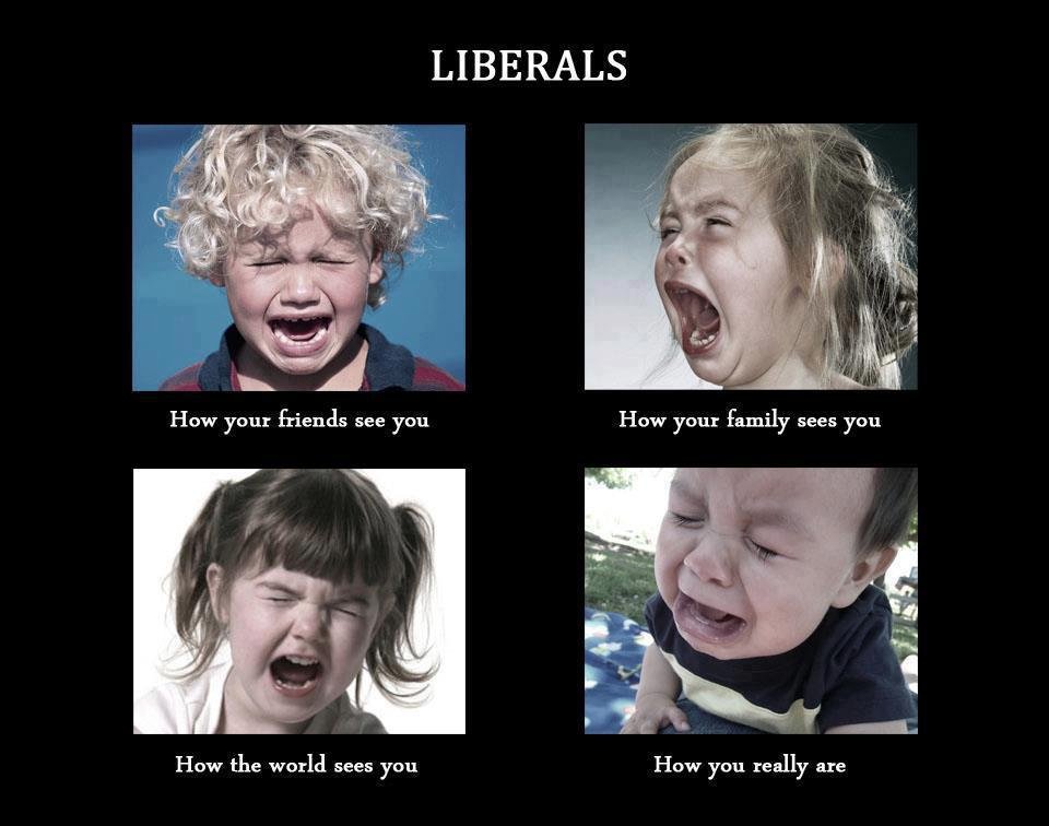 Liberals perfectly described