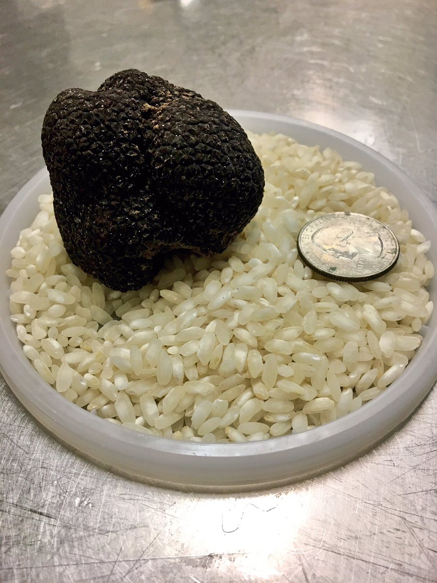 BarMarcoPGH's tweet photo. perigord truffles on egg yolk tagliatelle this week w porcini and parmigiano. https://t.co/lFwFyKZT2L