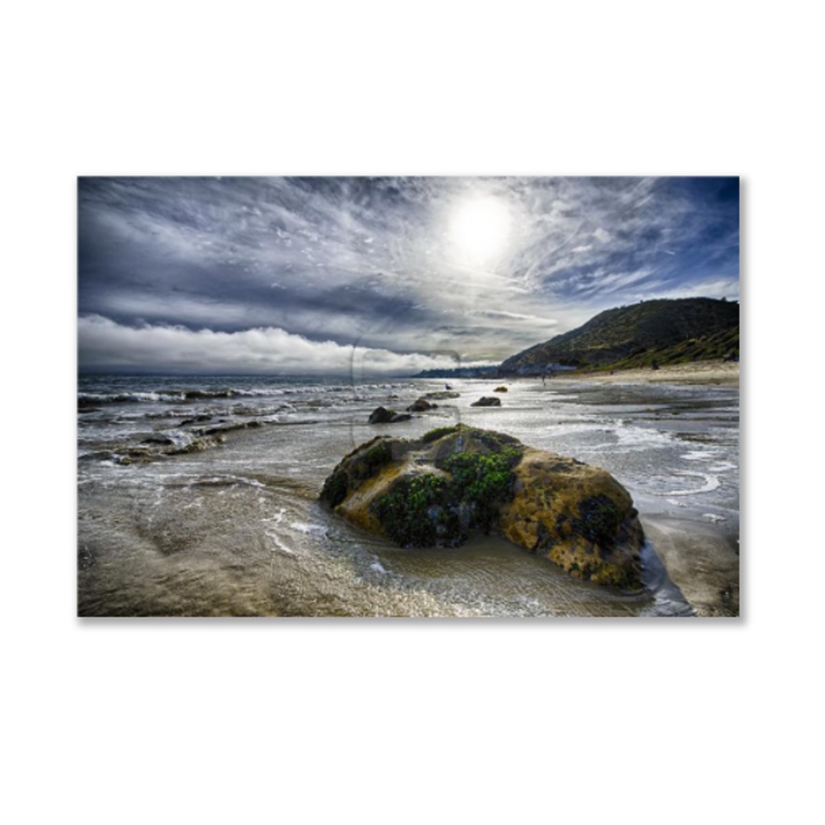 FillSpaceArt's tweet photo. Raise your hand if you're craving a beach day on this cold January afternoon? Photo by; Brendan Dekora. https://t.co/ENgkYaWxvU