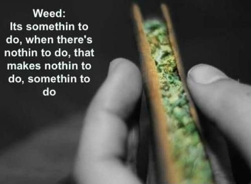 HighCulture420's tweet photo. https://t.co/aQz5e2oqcK