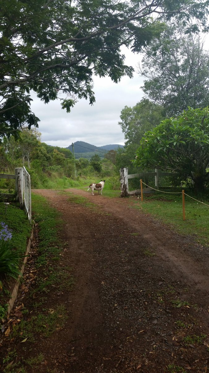 Great landscape at my cousins farm!