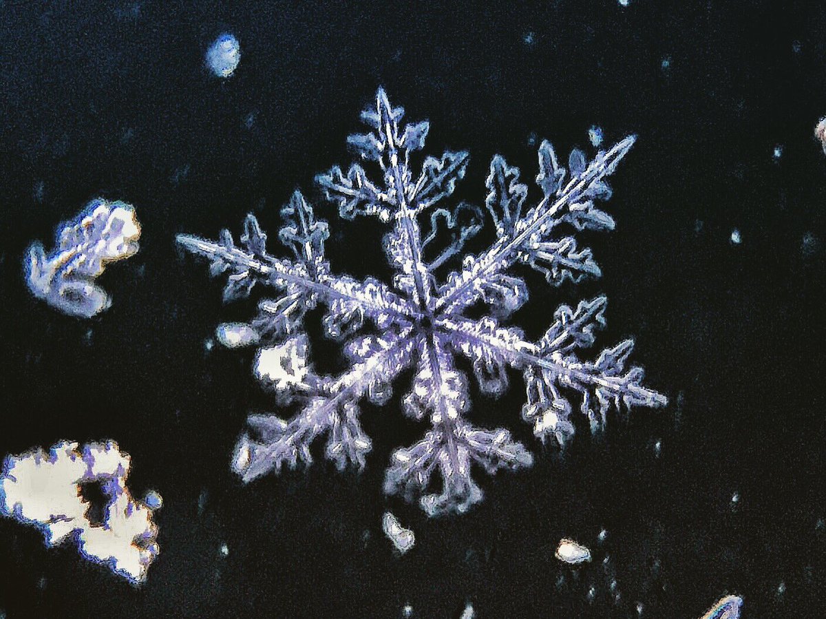 jeffgoodman1's tweet photo. #snowflake #snow #iPhone7 #shotoniphone #shotoniphone7 #olloclip #NatGeo #ohio #iphone #macro #iphoneonly @CNN @BBCWorld @olloclip @NatGeo https://t.co/trvRVgvwXV