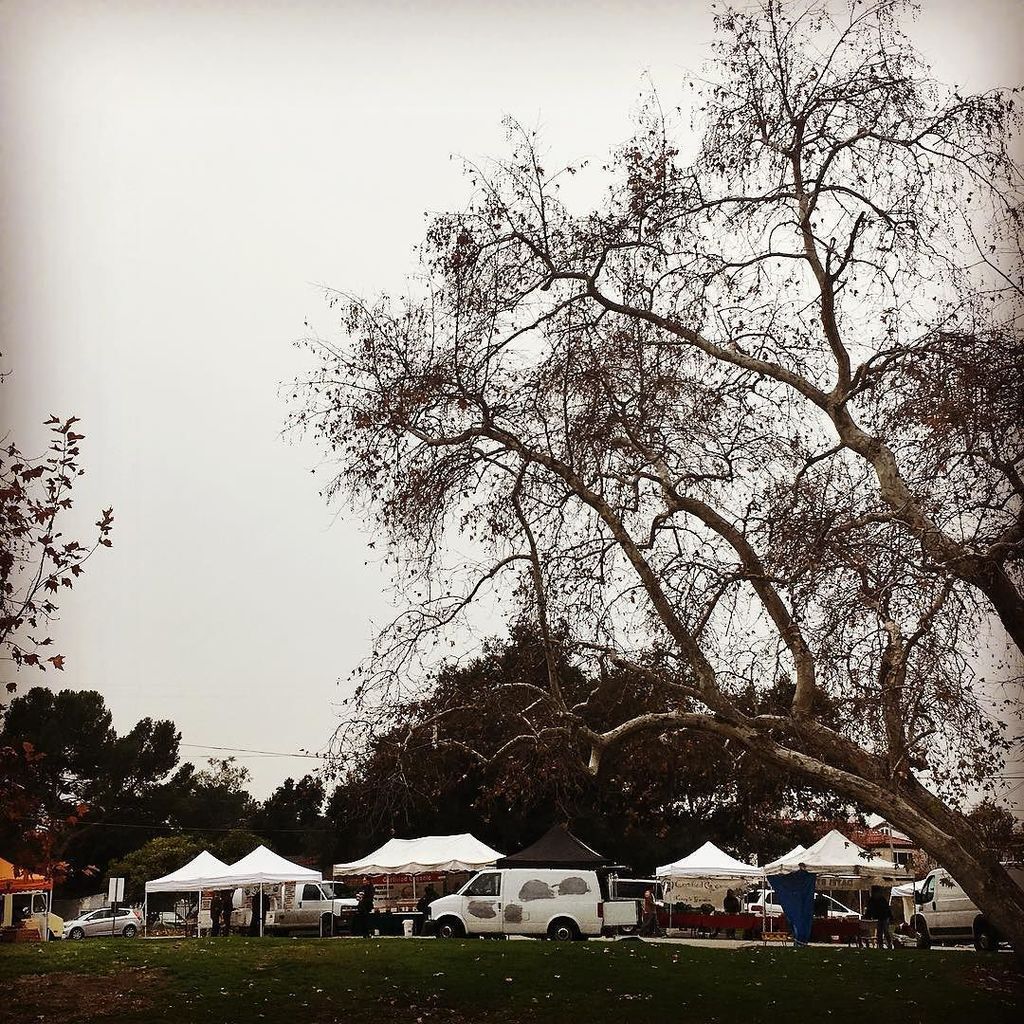 AltadenaFM's tweet image. Same tree, different view, new year. #firstof2017 #altadena #altadenafm #farmersmarket #we… ift.tt/2iR7Jze