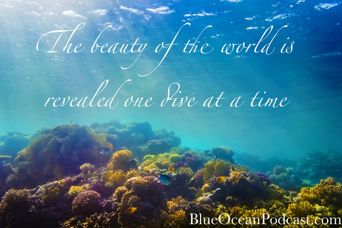 BlueOceanCast's tweet image. The beauty of the world is revealed one dive at a time #scuba #scubadiving #diving blueoceanpodcast.com