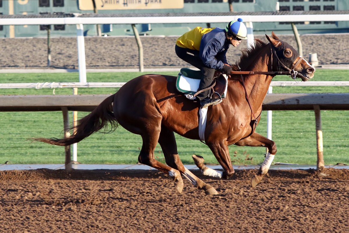 SMcCarthyRacing's tweet photo. Indygo Holiday worked this morning at Santa Anita before more rain arrives, and Glory Run out for a gallop. 🍀 https://t.co/DlnmjdQkw9