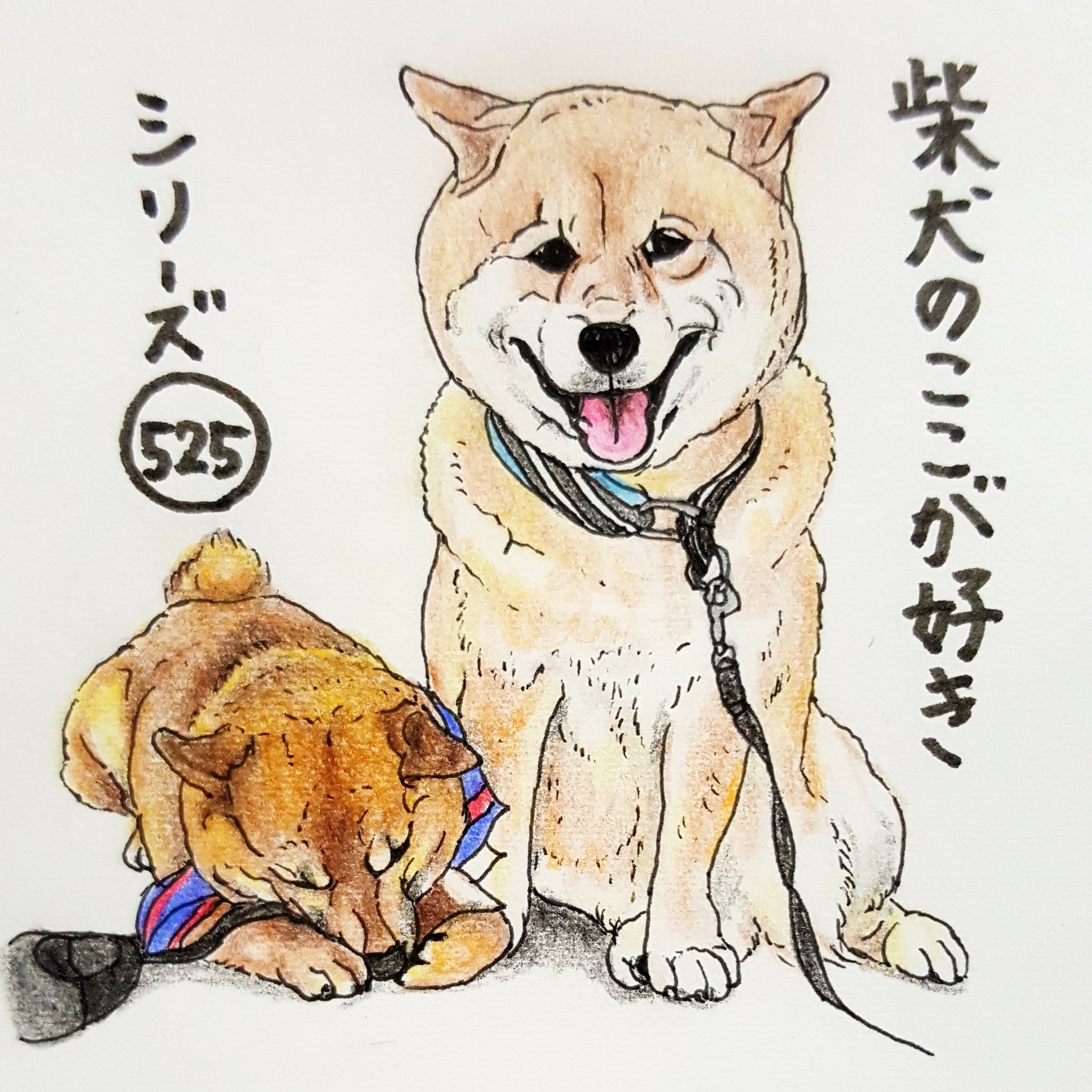 ここ柴 超有名犬 人 に会って ご主人の希望で一緒に写真を撮ってもらっても 本犬は自分にしか興味がないとこ 誰 まるちゃん 柴友 それより足が ガジガジ 柴犬のここが好き ここ柴 柴犬 イラスト