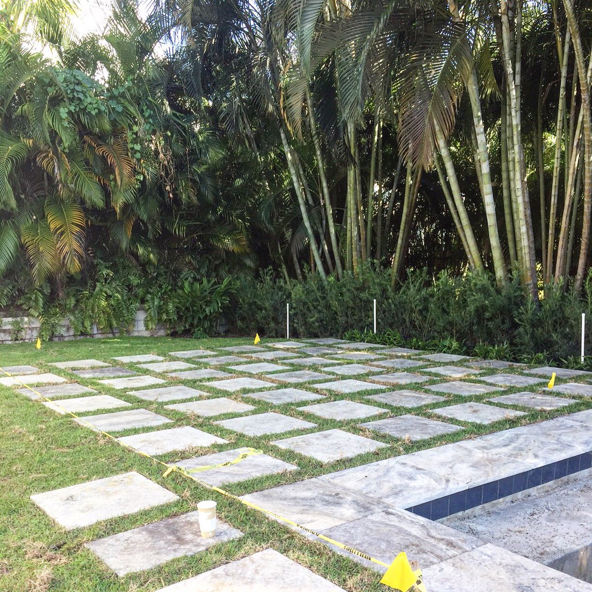 Sandra Meyer tweet media