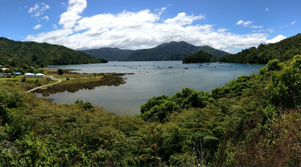 400 odd scouts from #nzjamboree at Ngakuta Bay enjoying the sun <a href="/ScoutsAustralia/">Scouts Australia</a>