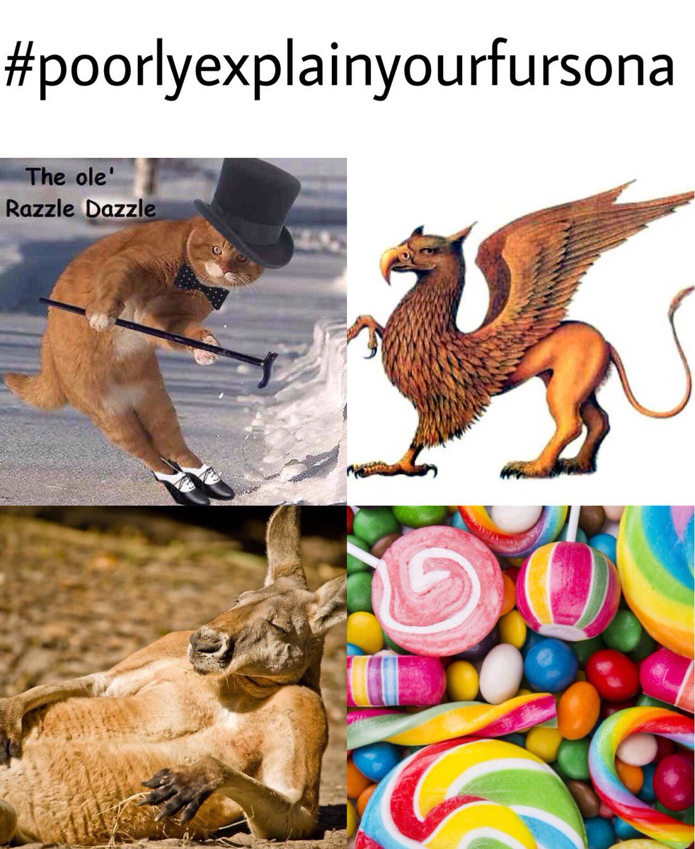bagofchaaaps's tweet photo. This is a popular thing on Instagram that i did but idk if its trending here on twitter??? #poorlyexplainyourfursona https://t.co/2OsH1yNvQY
