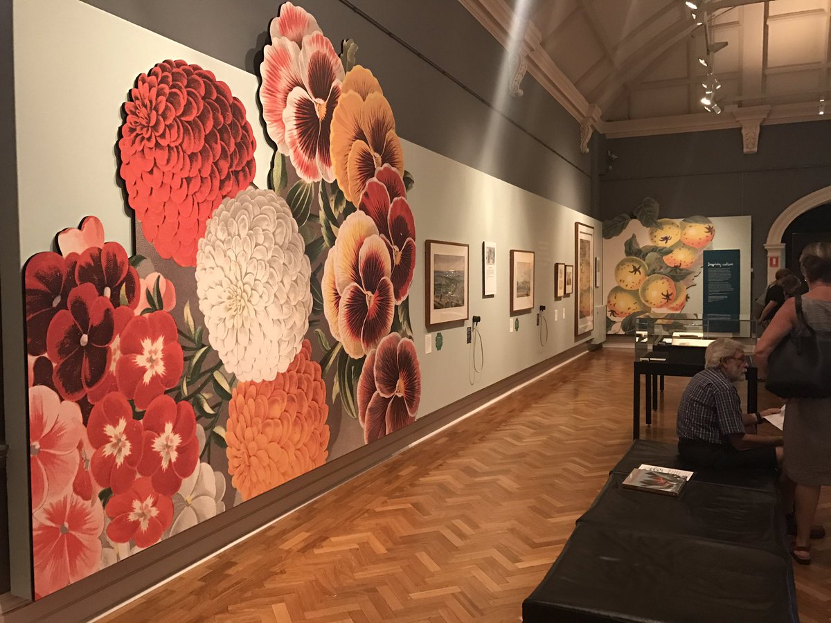 fiona_po's tweet photo. Loved @PHAVic member Richard Aitken's Planting Dreams exhibition at @statelibrarynsw. Carefully researched &amp; beautifully presented. https://t.co/rRLCQ26IGK