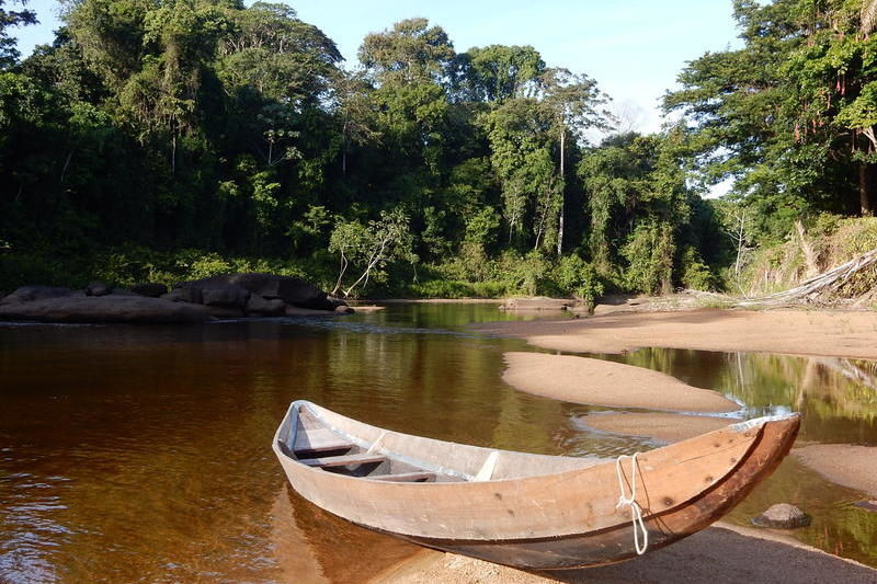 Ferienjoker's tweet image. #Erlebnisreisen #Suriname - #Erlebnisreise im verborgenen Dschungel.-Courtyard by Marriott… ift.tt/2c06hH6
