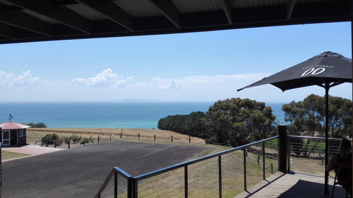 Committee for Geelong tweet media